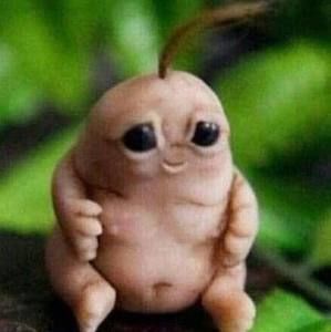 Meet your Posher, Carson